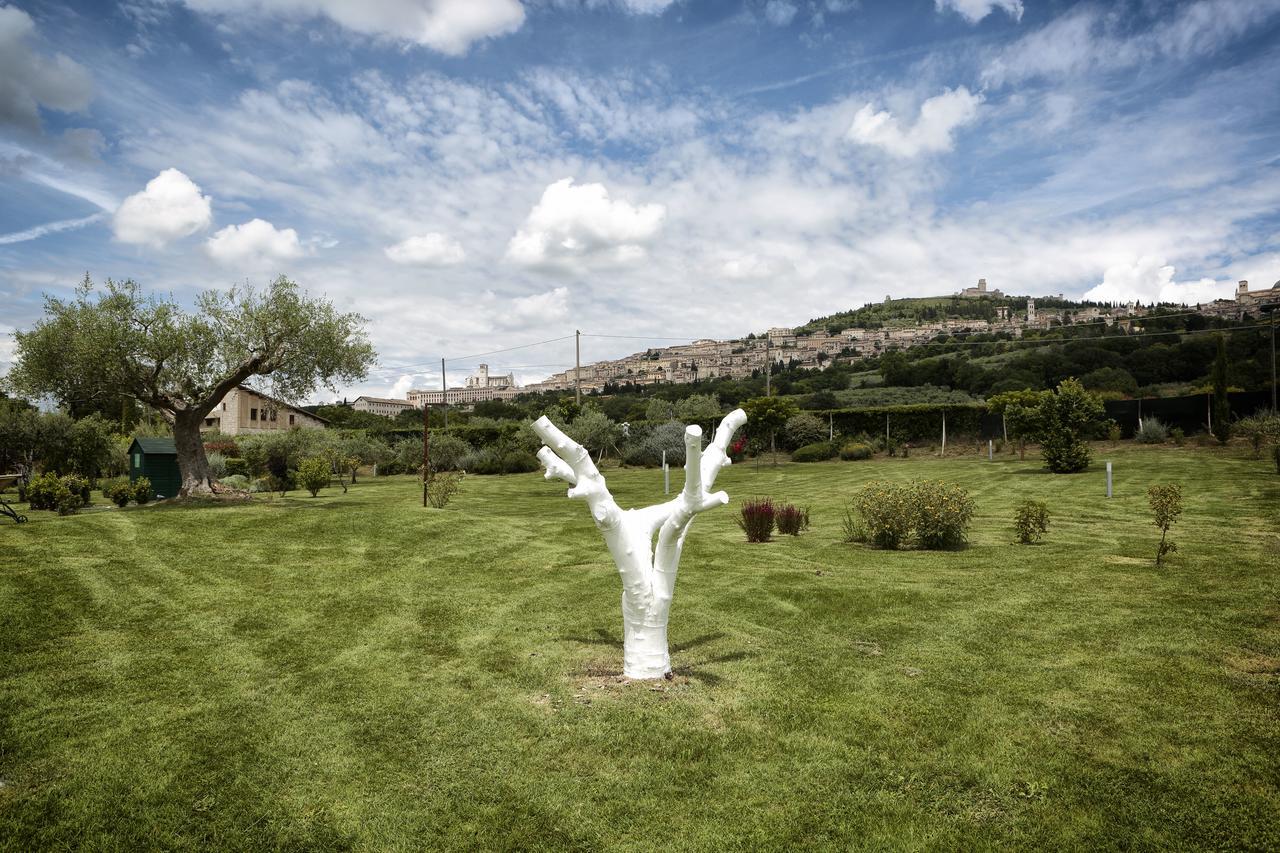 Tenuta San Masseo - Boutique Farm Resort & Spa 아시시 외부 사진